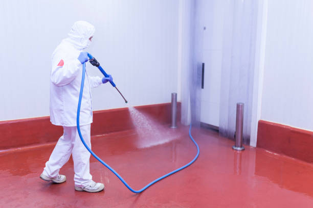 Trusted Dubach, LA  Pressure Washing Services Experts